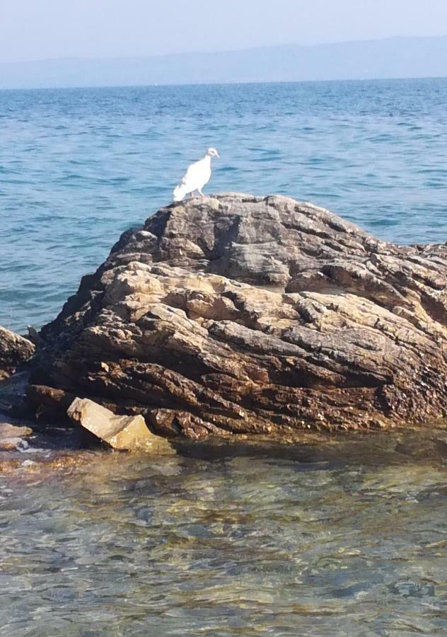 Apartmani Antonia Nakic -Stobrec Split Kültér fotó